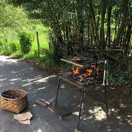 Landsted Madreselva *